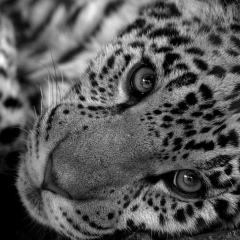 Айслу Машакаева, 06.09.1991, Астана