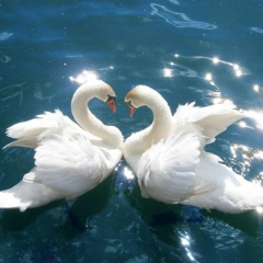 Гулназым Адилбекова, 24.03.1990, Алматы