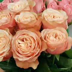 Таня Истомина, 03.06, Липецк