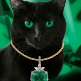 Ольга Макарова, Одесса