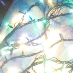 Анюта Анюта