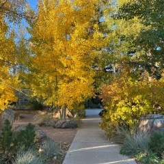 Дильноза Хасилова, 15.03.1986, Laramie