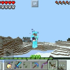 Артем Майкрафт, 30.05.2004