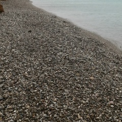 Павлик Бугров, 29.01, Санкт-Петербург