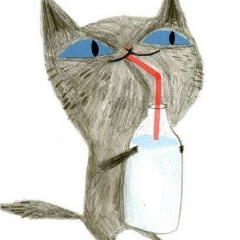 Святослав Федечко, New York City