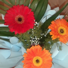 Gulbanu Musabekova, 19.10.1988, Алматы