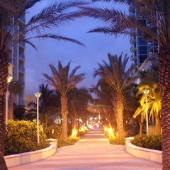 Максим Максимов, 01.01, Санкт-Петербург