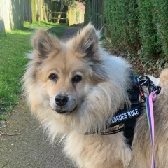 Simon Cooper, 05.11.1975, Banbury