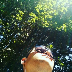 Павел Анненков, Санкт-Петербург