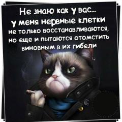 Андрей Щёлоков, 23.07, Санкт-Петербург