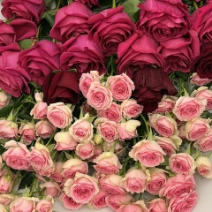 Батиразова Роза, 13.04.1980, Санкт-Петербург