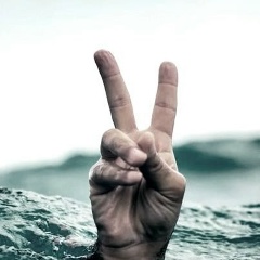 Дмитрий Кулешов, 01.01.1985, Москва