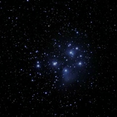 Дмитрий Владимиров