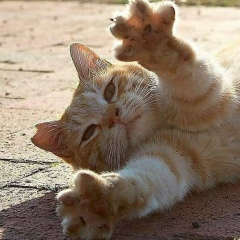 Виталий Виталькин, 23.02.1982