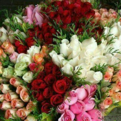 Жан Елу, 09.04