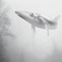 Maria Isabela, 03.12.1990