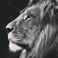 Наби Набиев, 05.11.1991, Санкт-Петербург