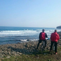 Виталий Залогин