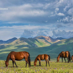 Айжан Хаиржанова, 03.06, Алматы