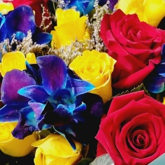 Аза Чербижева, 18.03.1983, Москва