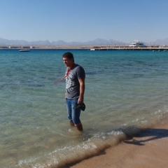 Паша Кордияка, Могилёв