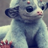 Виктория Виктория, 06.08