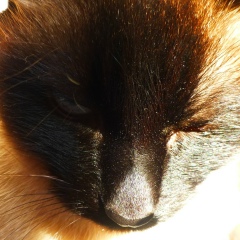 Анжелика Нарушевич, 01.10, Вильнюс