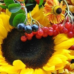 Елена Котенко, 18.01, Винница