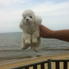 Дарья Велик, 25.07.1981, Улан-Удэ