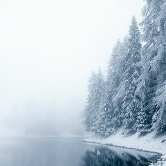 Іра Пиріг, Ивано-Франковск