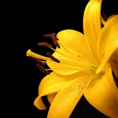 Юлия Криворучко, 20.02, Северодвинск