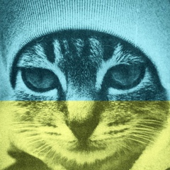 Андрей Дзиндзирук, 01.01, Севастополь