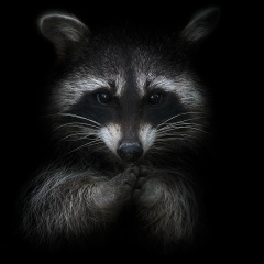 Сергей Охтяров, 14.08