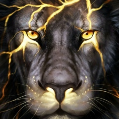 Денис Хашукаев, 28.06