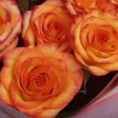 Жанна Алиева, 29.12, Аксукент