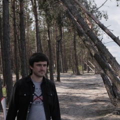 Сергей Перевертун, Киев