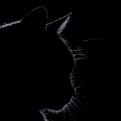 Максим Ишунин, 19.09.1981, Красноярск