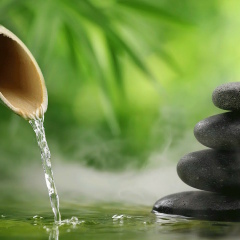 Ольга Прохорова, 04.12, Санкт-Петербург