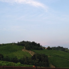 Yerla Bknv, 08.06.1983, Москва