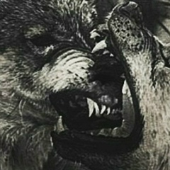 Дініс Мерешко, 14.04.1996, Запорожье