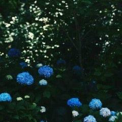 Татьяна Кан, 18.08, Нукус