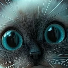 Сергей Травин, 23.12, Ухта