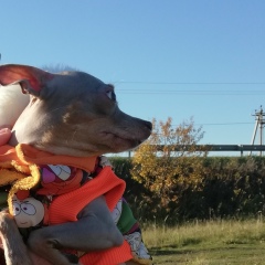 Артём Галанов, 04.01, Электросталь