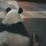 Вадим Усовицкий, 01.08.1981, Санкт-Петербург