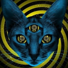 Александр Мальков, 03.10