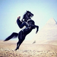 Даурен Уразбаев, 02.01.1988, Шымкент