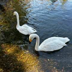 Альфия Батабаева, 02.06, Нарын