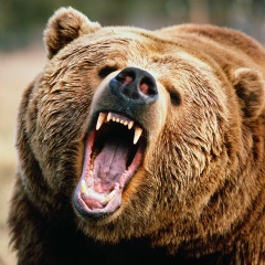 Игорь Русс, 12.10, Калининград