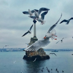 Галя Трескова, Севастополь