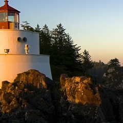 Александр Палагута, Близнюки